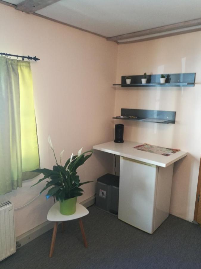Elbhangzimmer دريسدن المظهر الخارجي الصورة