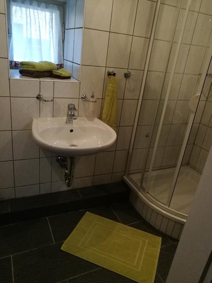 Elbhangzimmer دريسدن المظهر الخارجي الصورة