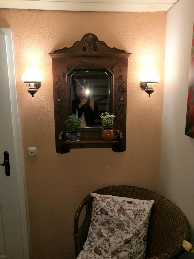 Elbhangzimmer دريسدن المظهر الخارجي الصورة