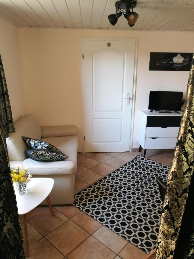 Elbhangzimmer دريسدن المظهر الخارجي الصورة