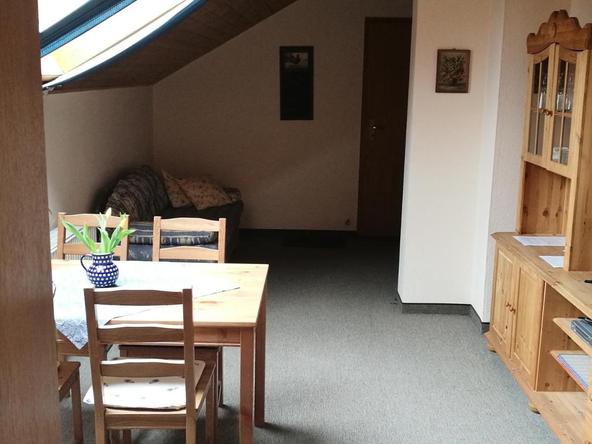 Elbhangzimmer دريسدن المظهر الخارجي الصورة