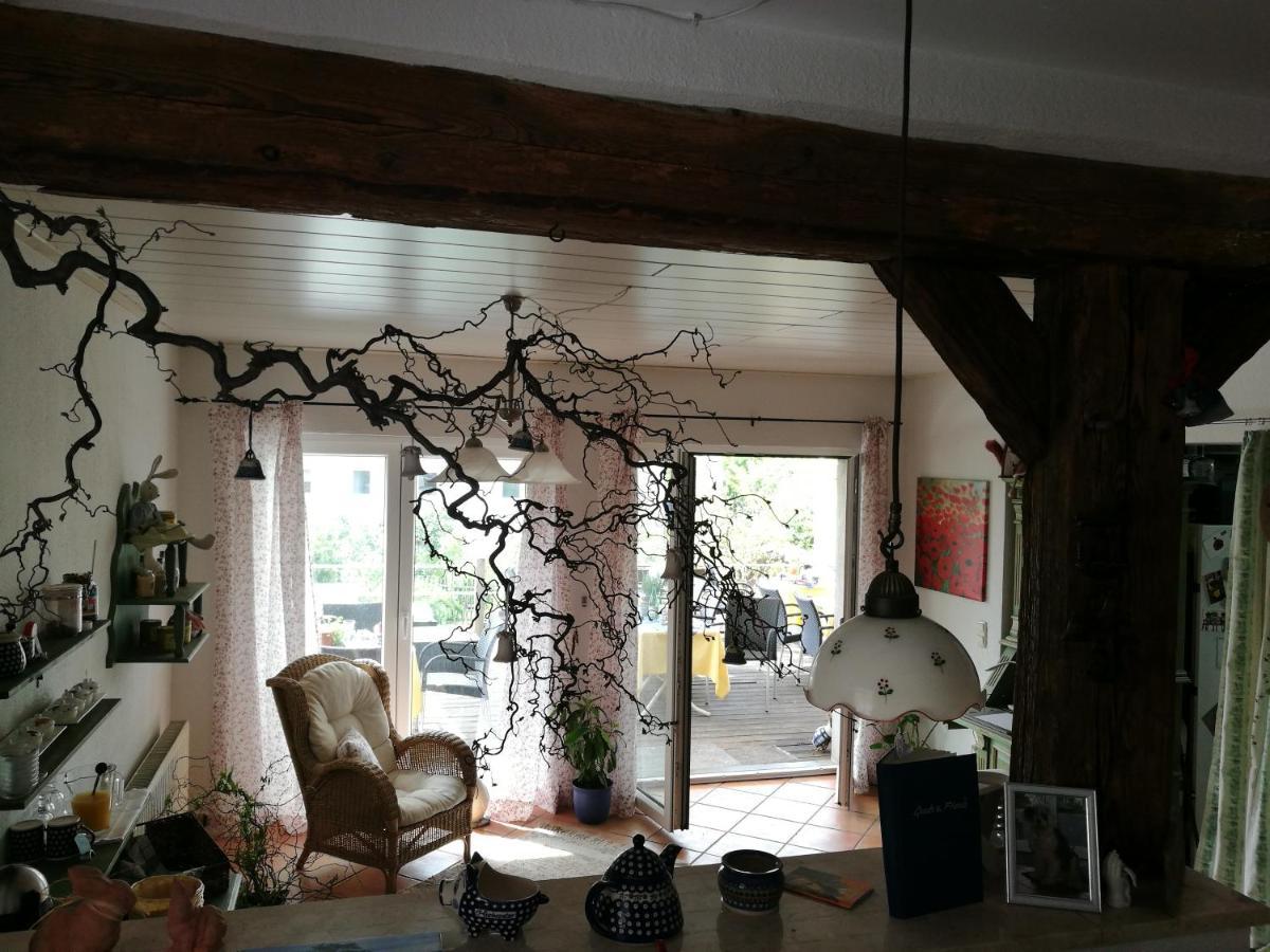 Elbhangzimmer دريسدن المظهر الخارجي الصورة
