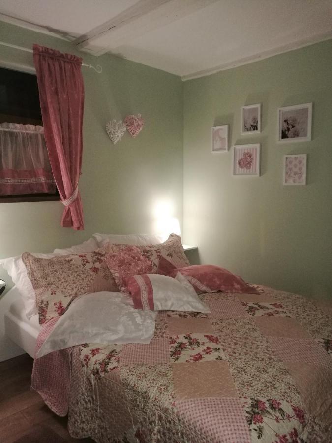 Elbhangzimmer دريسدن المظهر الخارجي الصورة